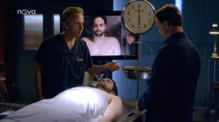 4. díl