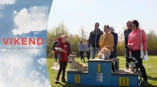 Víkend