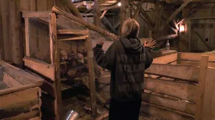 Vystřižená scéna z Farmy: Lucie promlouvala do duše kohoutovi