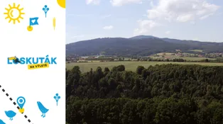 Loskuták na výletě