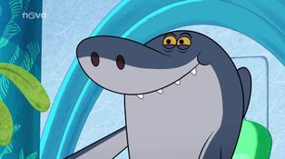 Zig a Sharko
