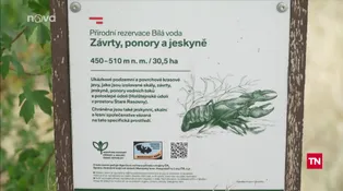 Odpolední Televizní noviny
