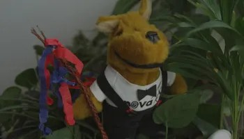 Otestujte své znalosti o TV Nova