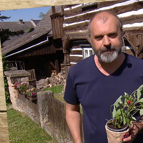 Rady ptáka Loskutáka - 11. 6. 2022