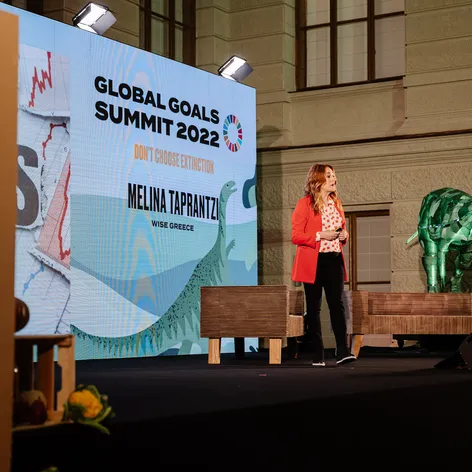 Global Goals Summit (1)