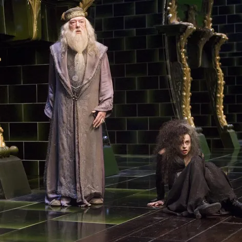Harry Potter a Fénixův řád