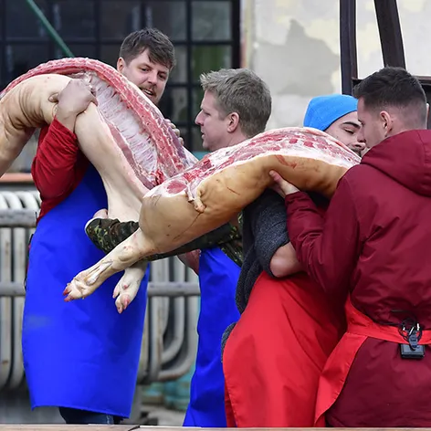 MasterChef: Zabijačka - 7