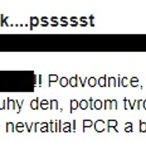 Výměna manželek - 7
