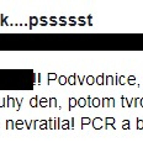 Výměna manželek - 7