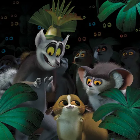 Madagaskar - 12