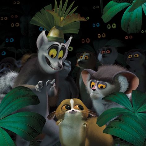 Madagaskar - 12