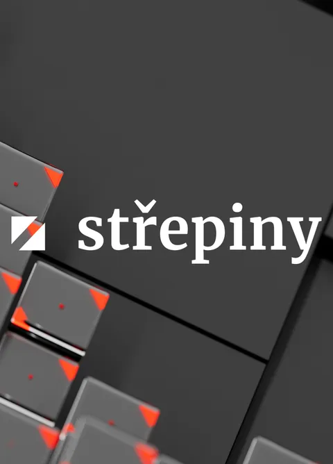 Střepiny