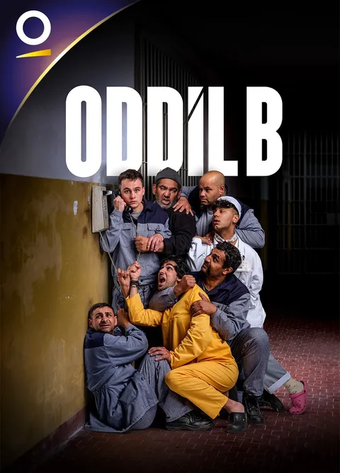 Oddíl B