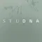 Studna