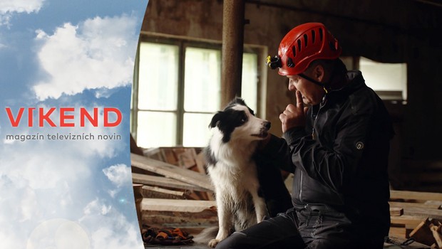 Zvířecí hrdinové: Čeští záchranářští psi patří k těm nejlepším na světě!