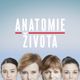 Anatomie života