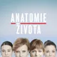 Anatomie života