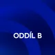 Oddíl B