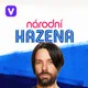 Národní házená