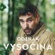 Odznak Vysočina