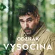 Odznak Vysočina