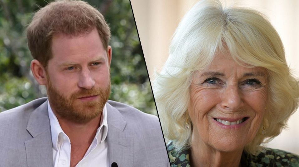 Princ Harry o královně choti Camille: Obětovala mě na oltář svého osobního PR