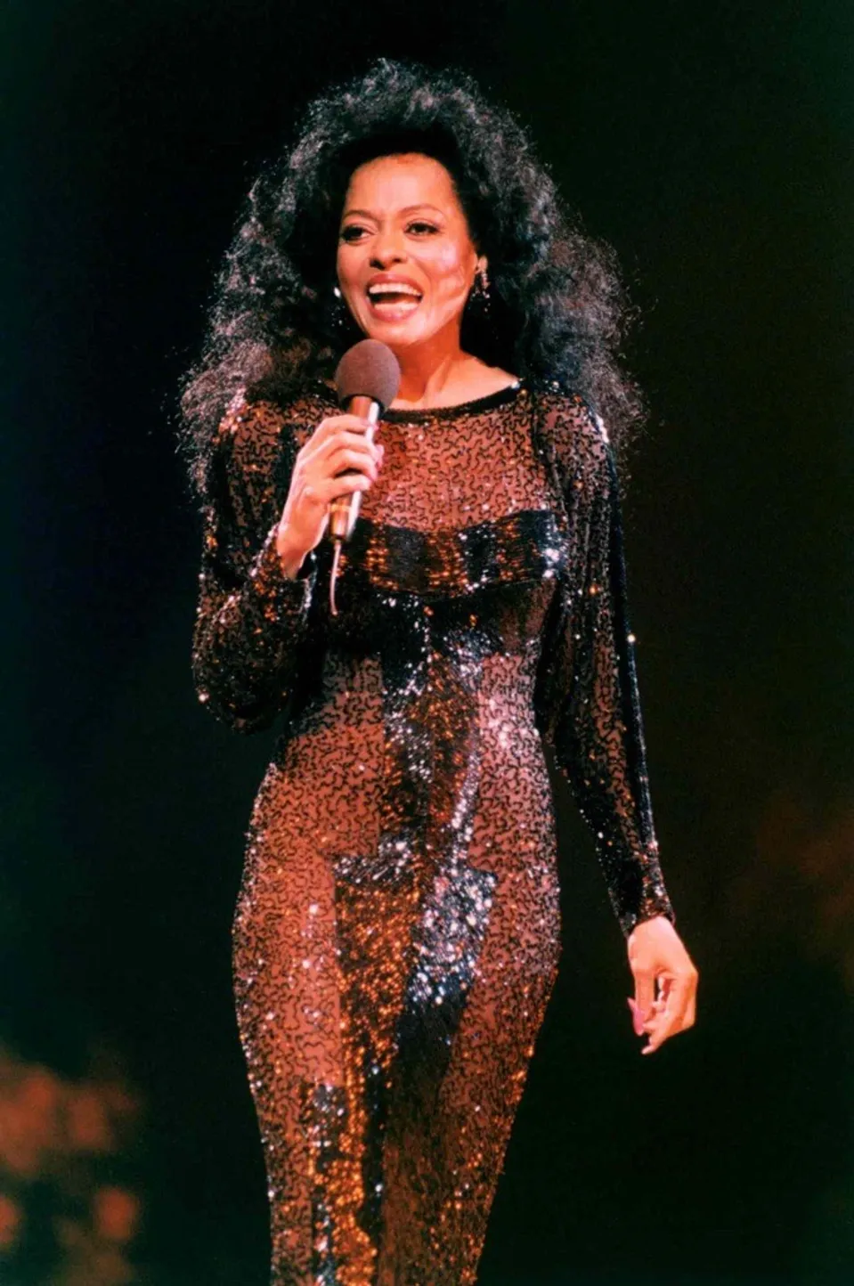 Zpěvačka Diana Ross míří do Plzně