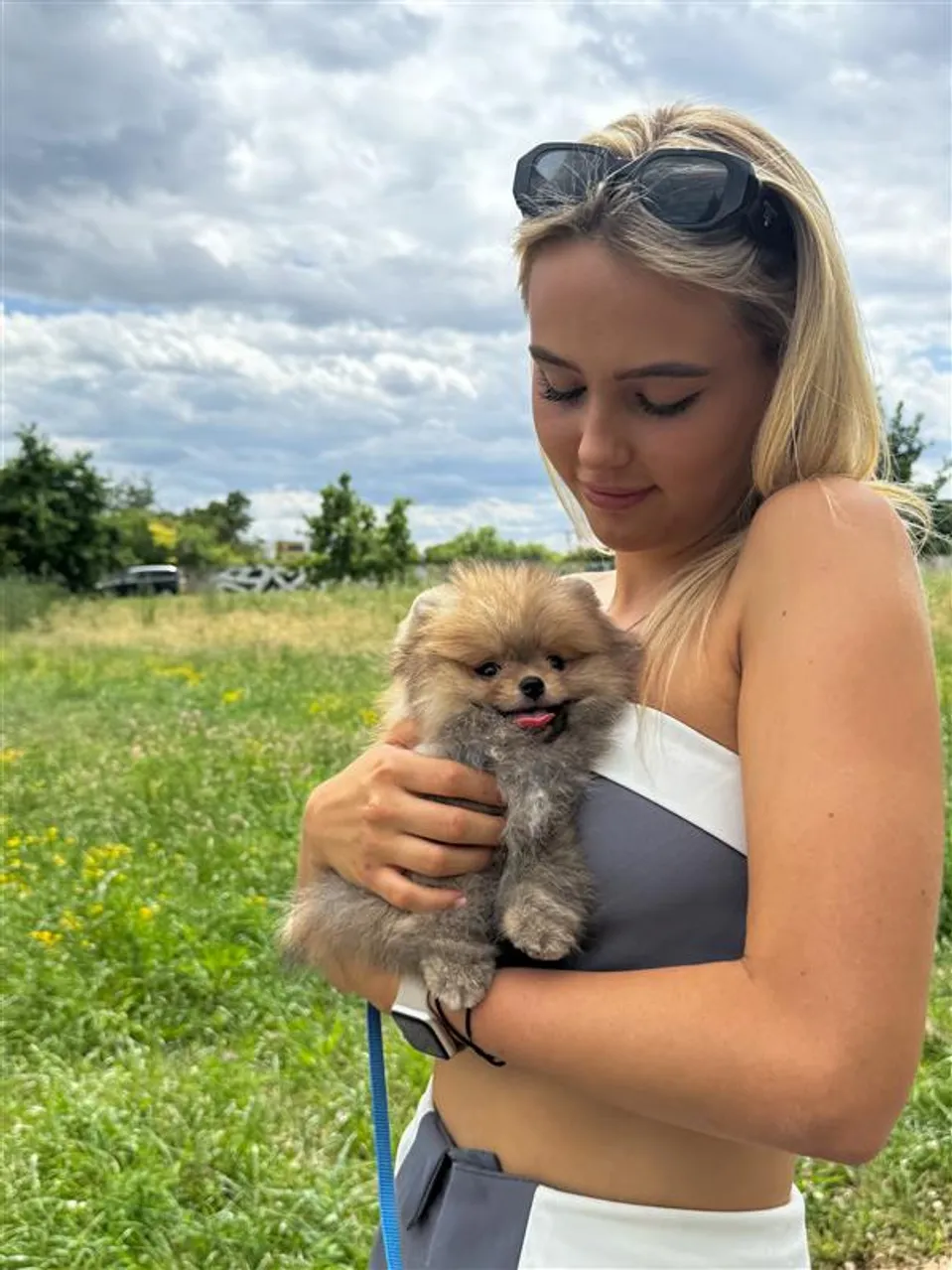 Pomeranian Bounty Tadeáše Vilhelma a Amélie