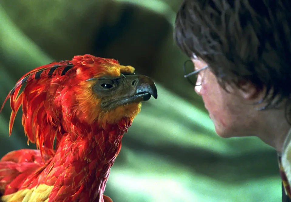 Harry Potter - Fénix
