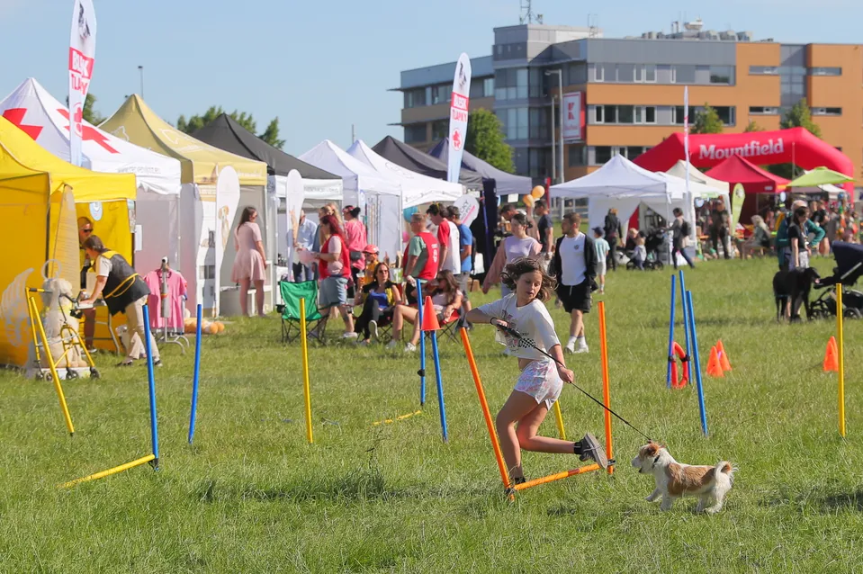 Ukázka aktivit z Festivalu Blesk tlapky z roku 2023