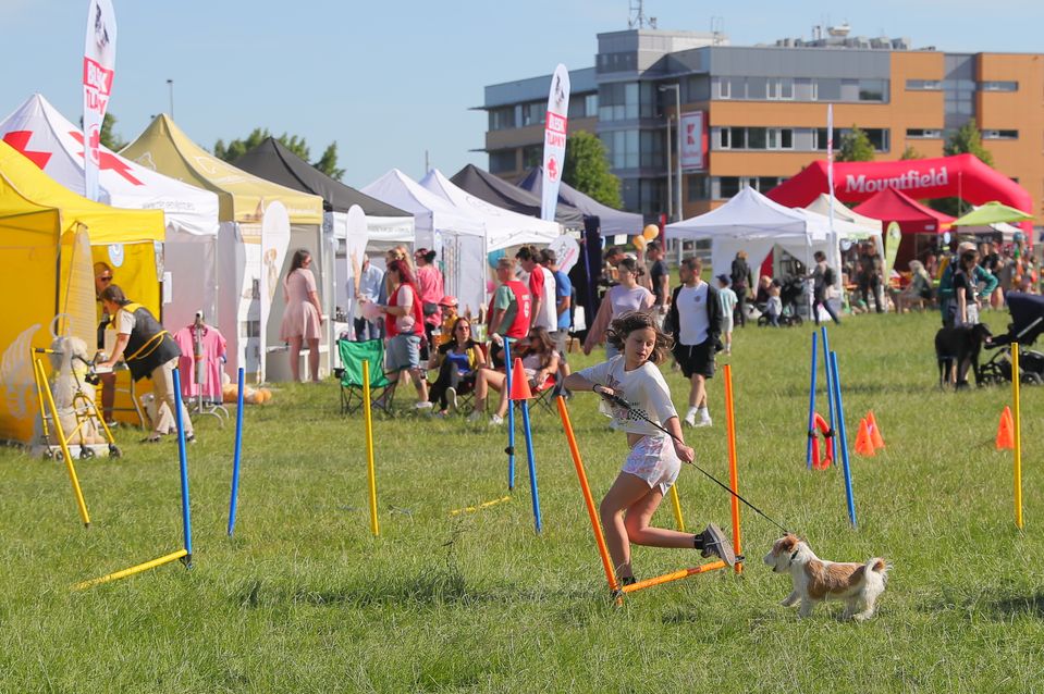 Ukázka aktivit z Festivalu Blesk tlapky z roku 2023