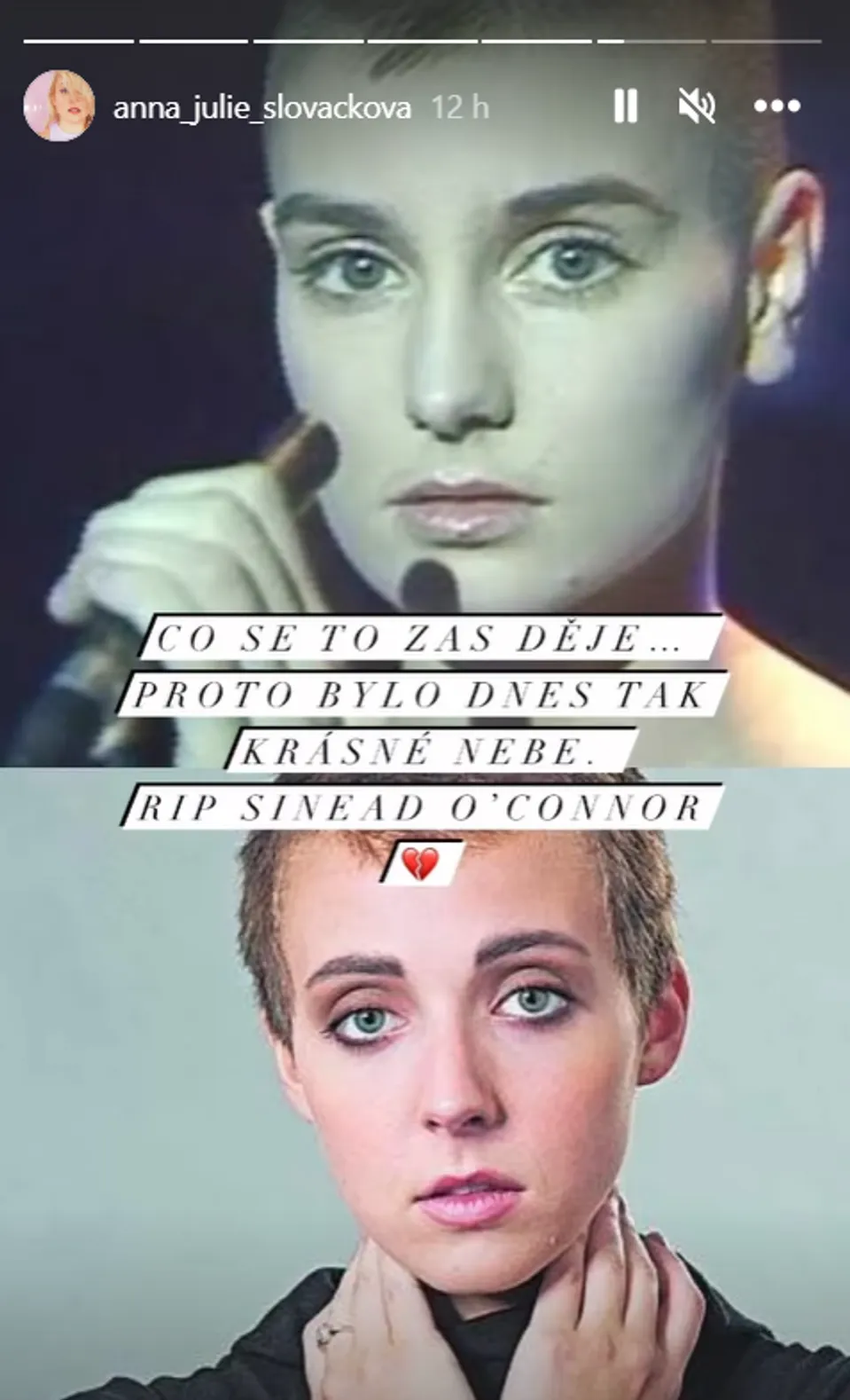 Anna Julie Slováčková