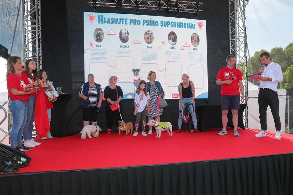 Volba Psího superhrdiny na festivalu Blesk tlapky 2023