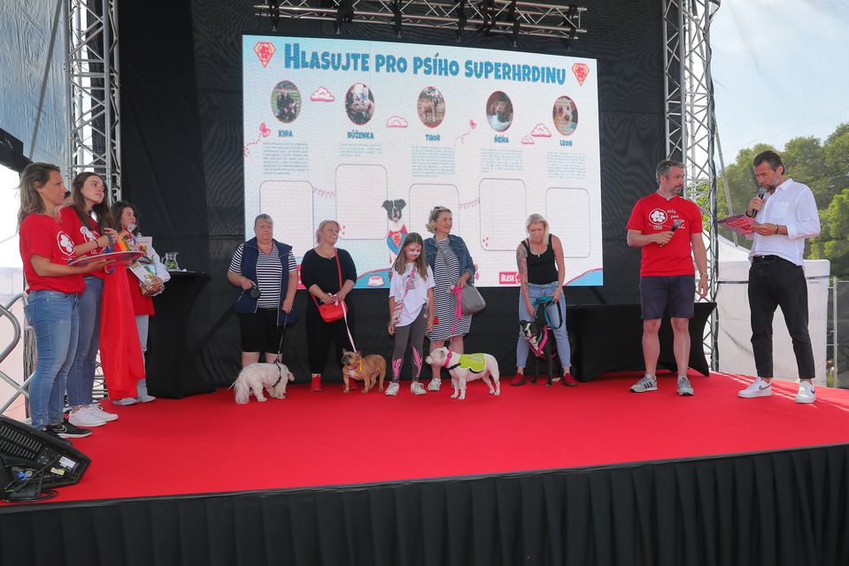 Volba Psího superhrdiny na festivalu Blesk tlapky 2023