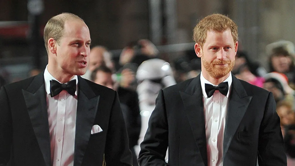 Princ Harry, Princ William