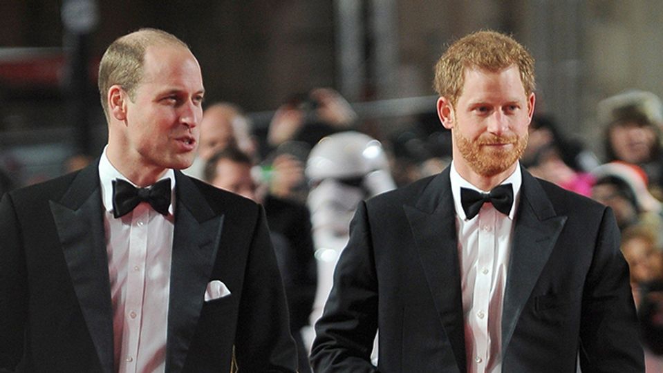 Princ Harry, Princ William