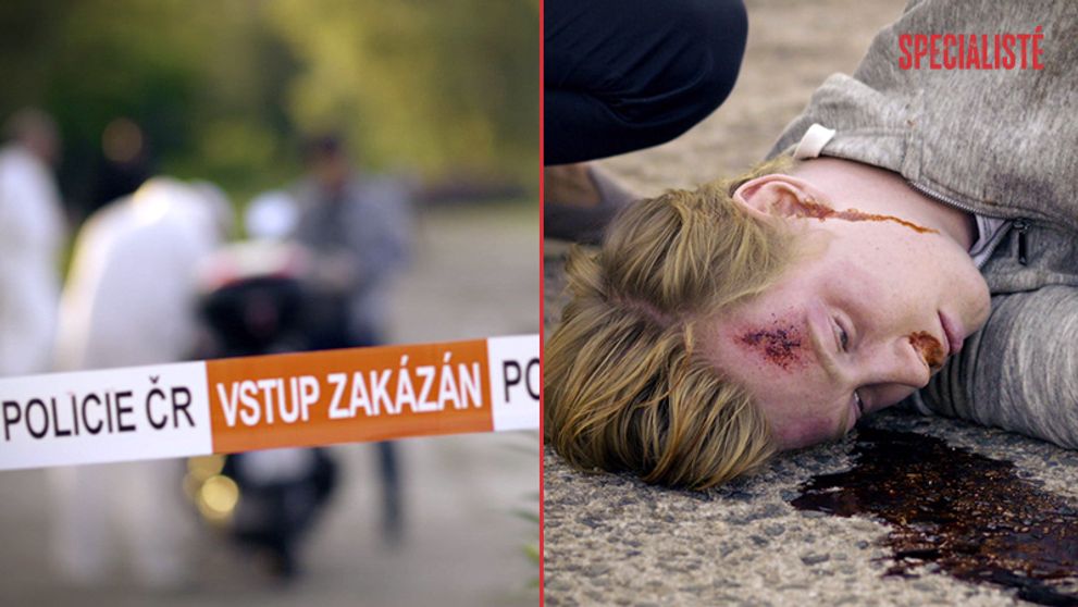 OČIMA EXPERTA: Češi z pomsty nevraždí. Potrestání nechávají na naší justici