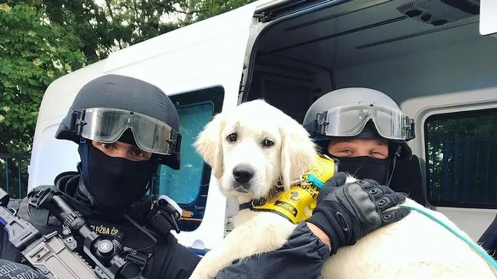 GALERIE: Snídaňové štěně v zajetí policistů! Co Sunny provedl?