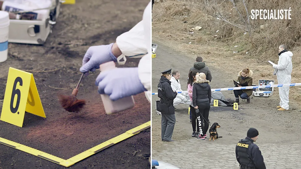 OČIMA EXPERTA: Jaký vypadá výslech, když pachatel mlčí? Policejní boss prozradil, jaká je realita