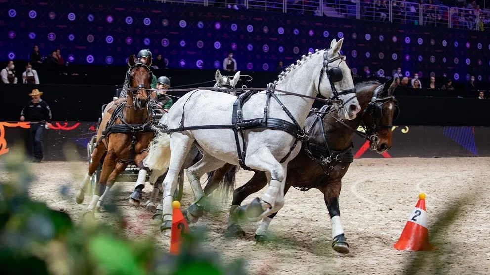 Výherci soutěže o vstupenky na Prague Playoffs!