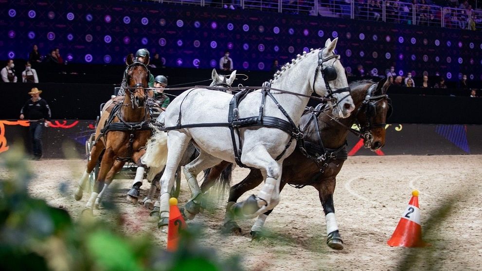 Výherci soutěže o vstupenky na Prague Playoffs!