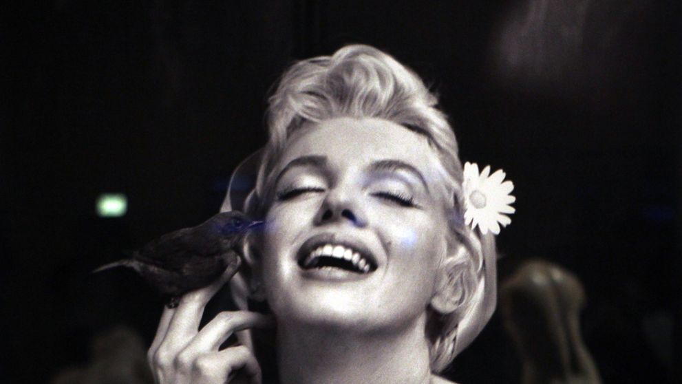 UNIKÁTNÍ POKUS. Podívejte se, jak by vypadala Marylin Monroe, kdyby měla plastiky